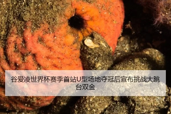 gu-ai-ling-shi-jie-bei-sai-ji-shou-zhan-xing-chang-di-duo-guan-hou-xuan-bu-tiao-zhan-da-tiao-tai-shuang-jin-3-849.jpg